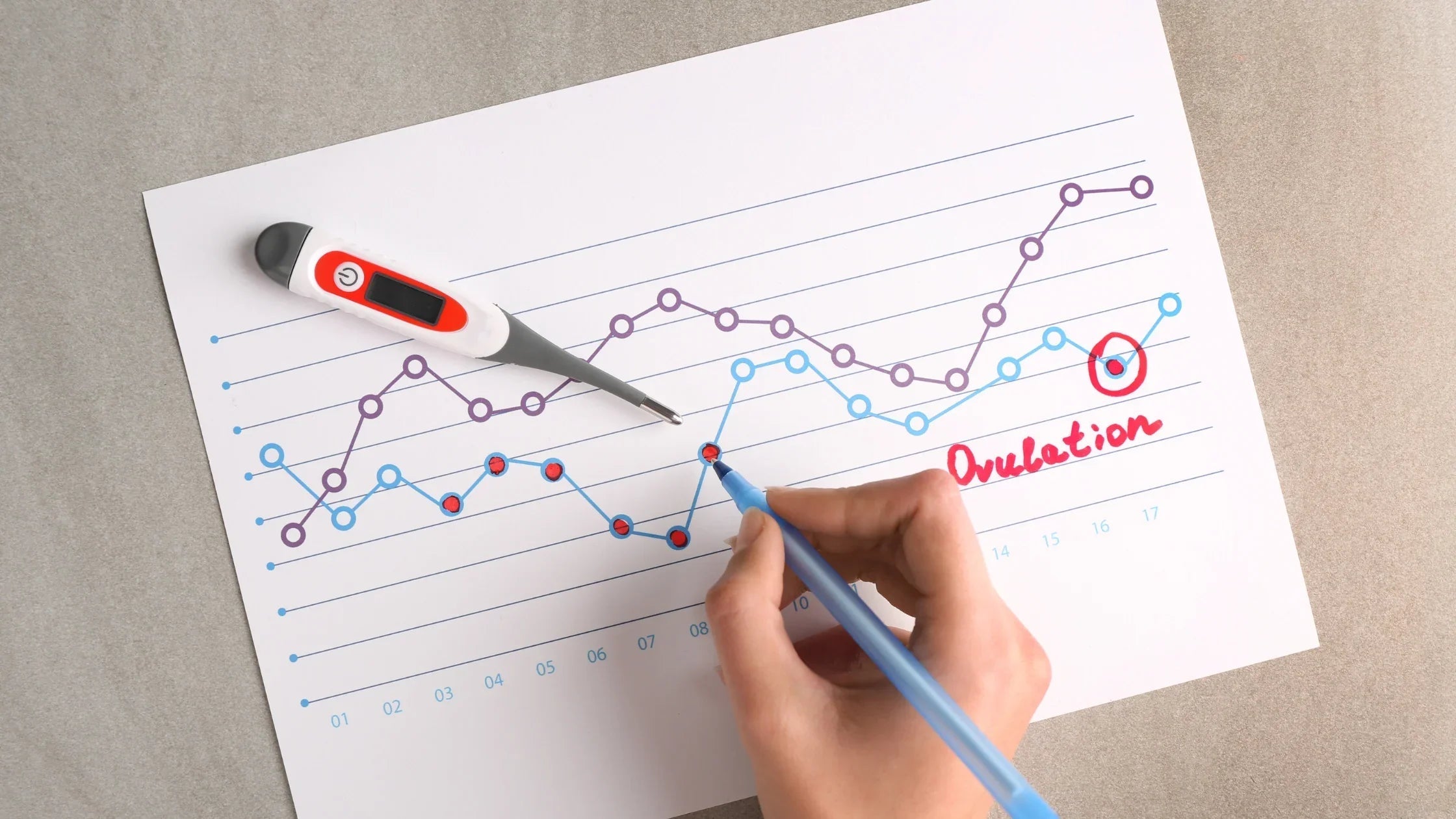 Calcul ovulation