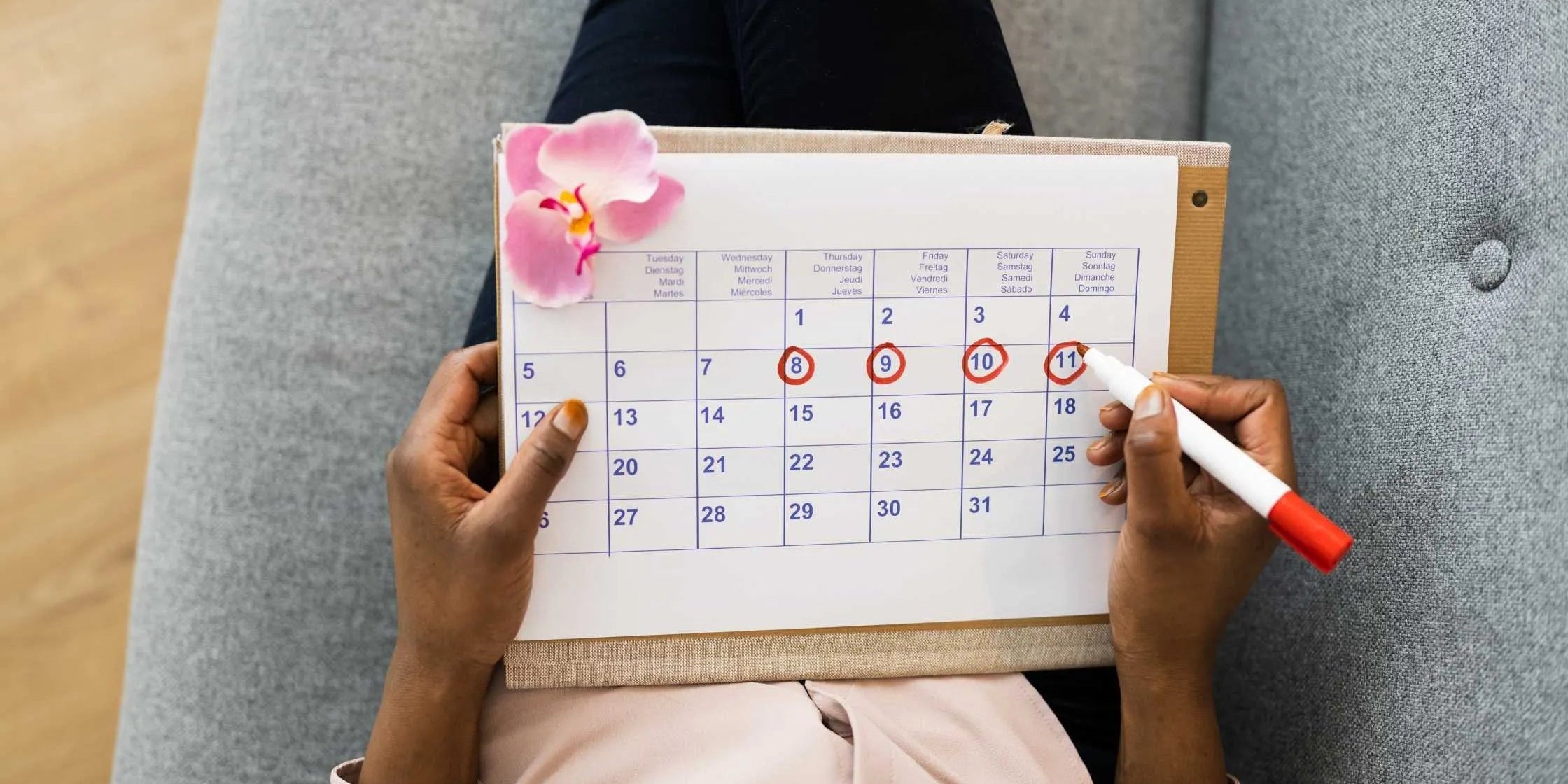 Phase lutéale - durée pour un projet de grossesse 