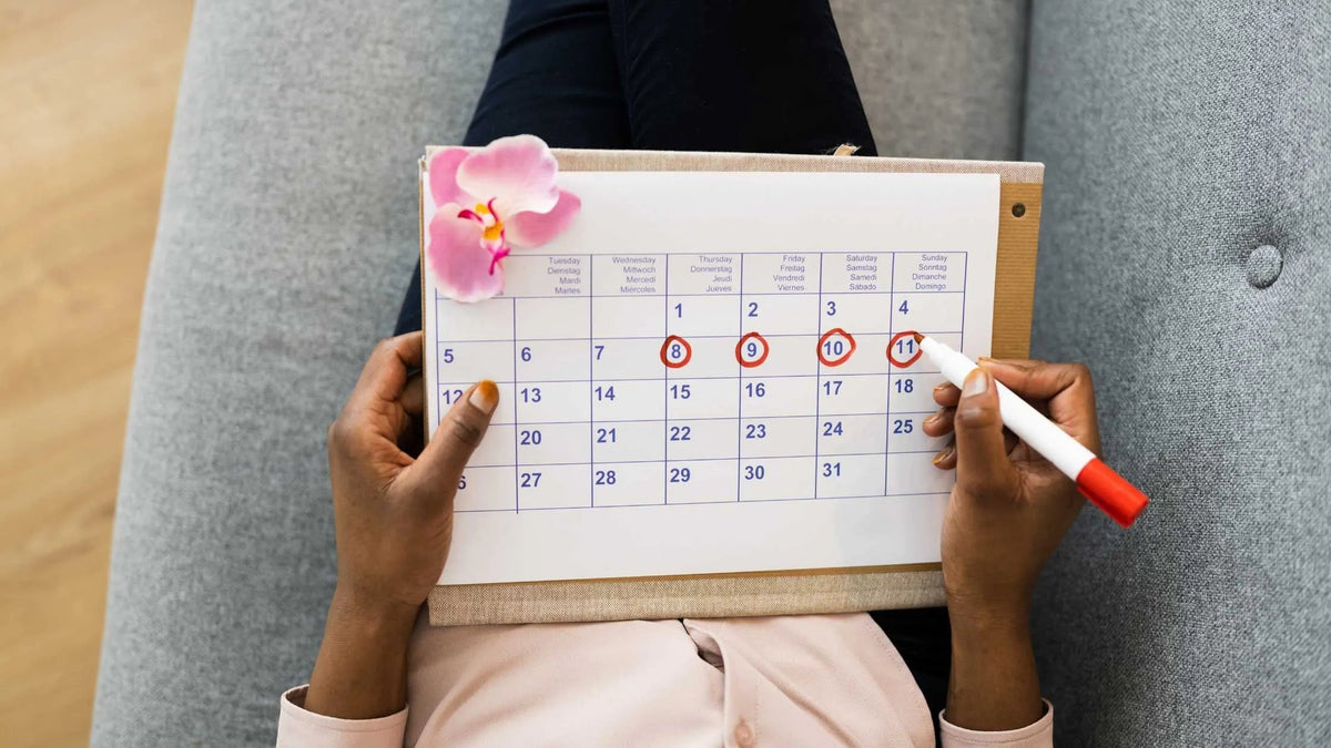  Schéma du cycle menstruel montrant la phase lutéale après l'ovulation