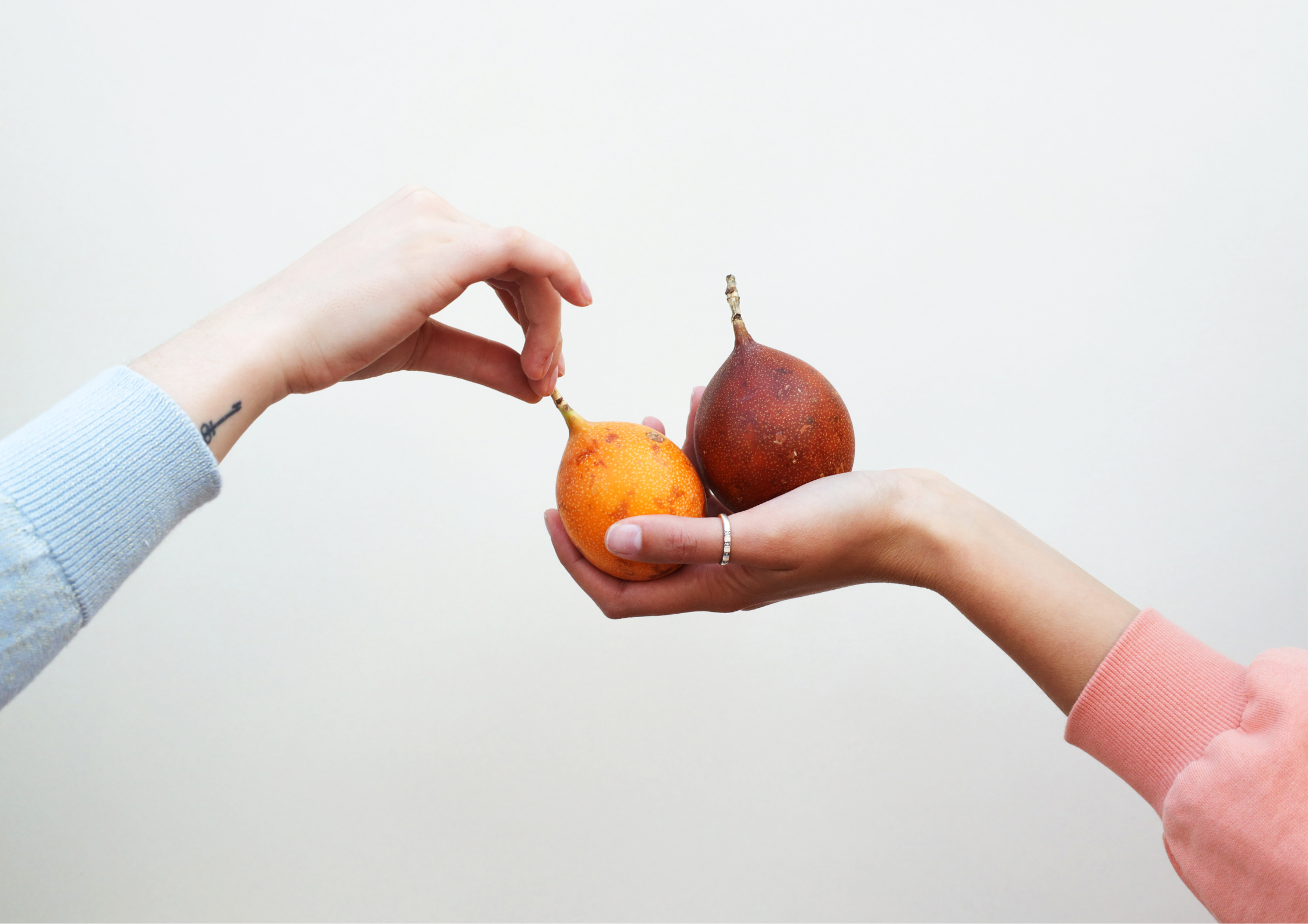 alimentation 