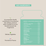 extrait de curcuma, vitamine E , Zinc bisglycinate...