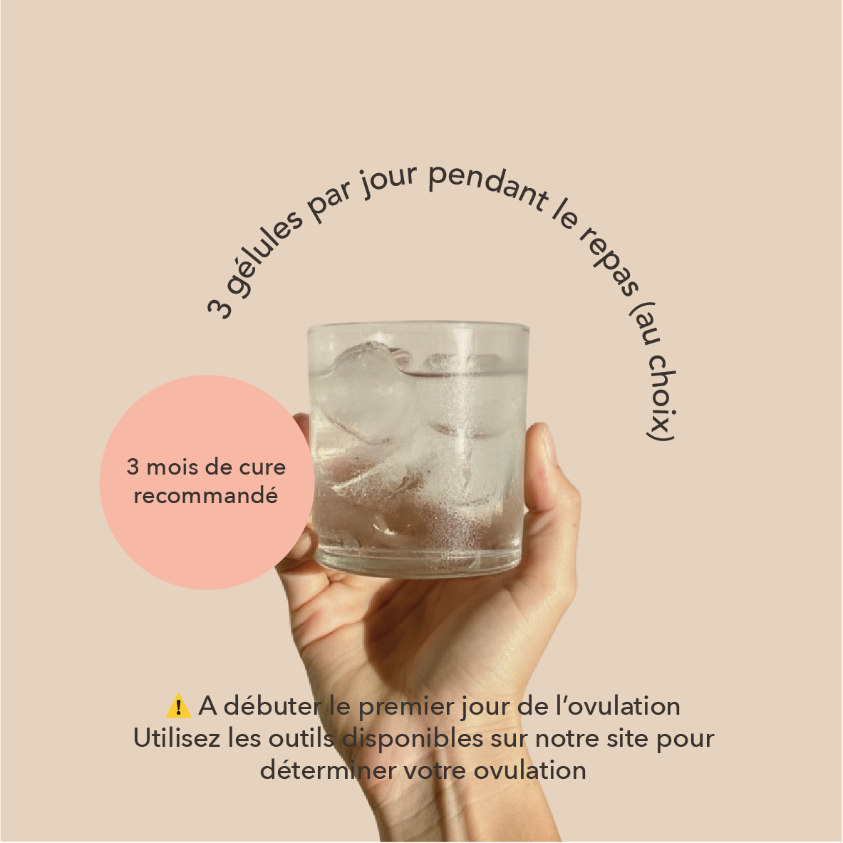 à débuter le premier jour de l'ovulation et prendre 3 gélules par jour pendant le repas 