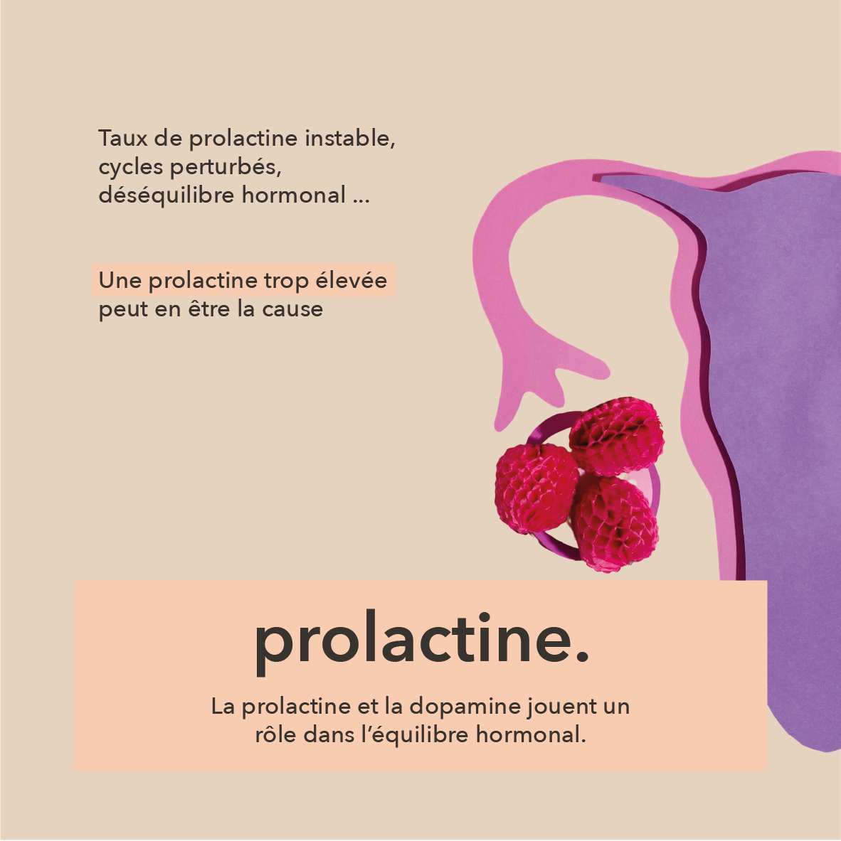 taux de prolactine instable, cycles perturbés, déséquilibre hormonal